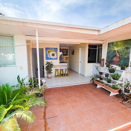 Esquina Del Pintor Villa Guadalajara Dış mekan fotoğraf